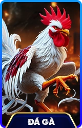 78WIN ⚽️ Link Vào 78WIN.COM Mới Nhất 2026, Đăng Ký Húp +77k 3 da ga 78win school